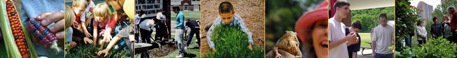 Landscapes for learning, indoor gardening & composting, animals in the classroom