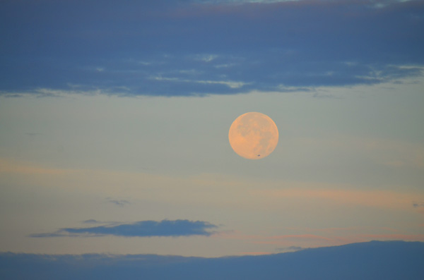 Eyes to the sky in The Broadsheet