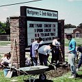 Garden-In-A-Day:  Hudson Middle School, Hudson, NY 